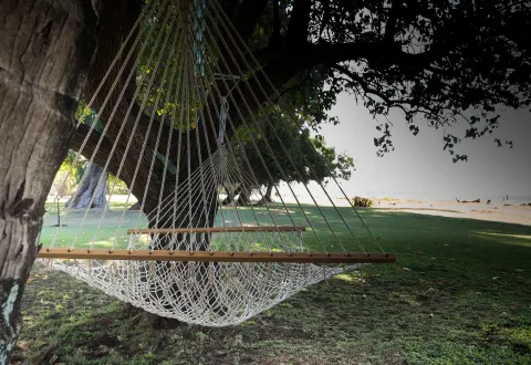 White rope hammock under shade trees near the beach at Waimea Plantation Cottages.