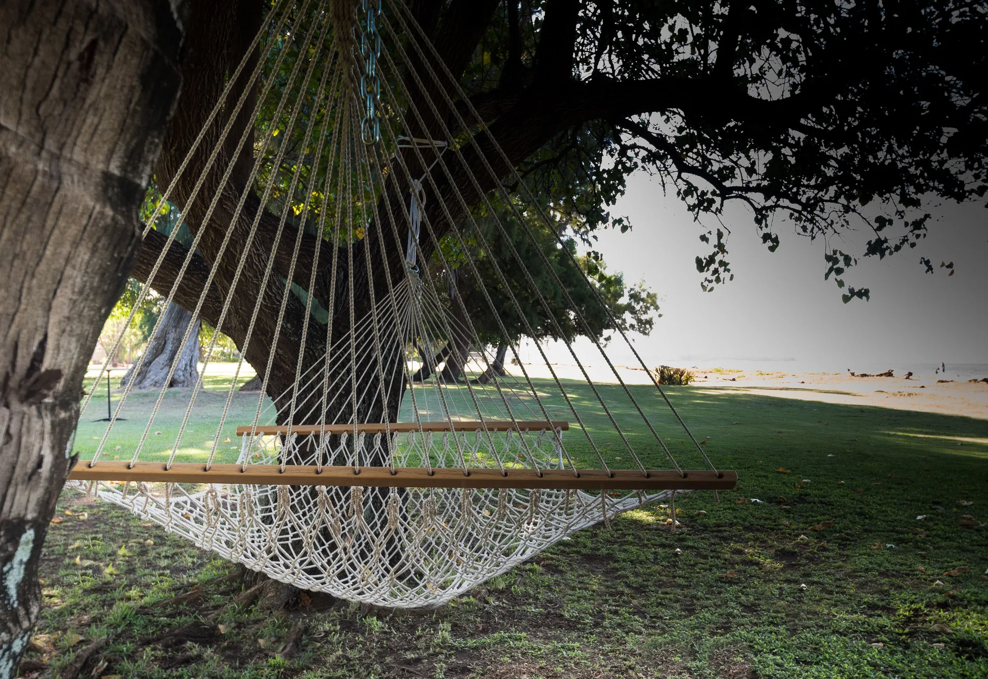 White rope hammock under shade trees near the beach at Waimea Plantation Cottages.