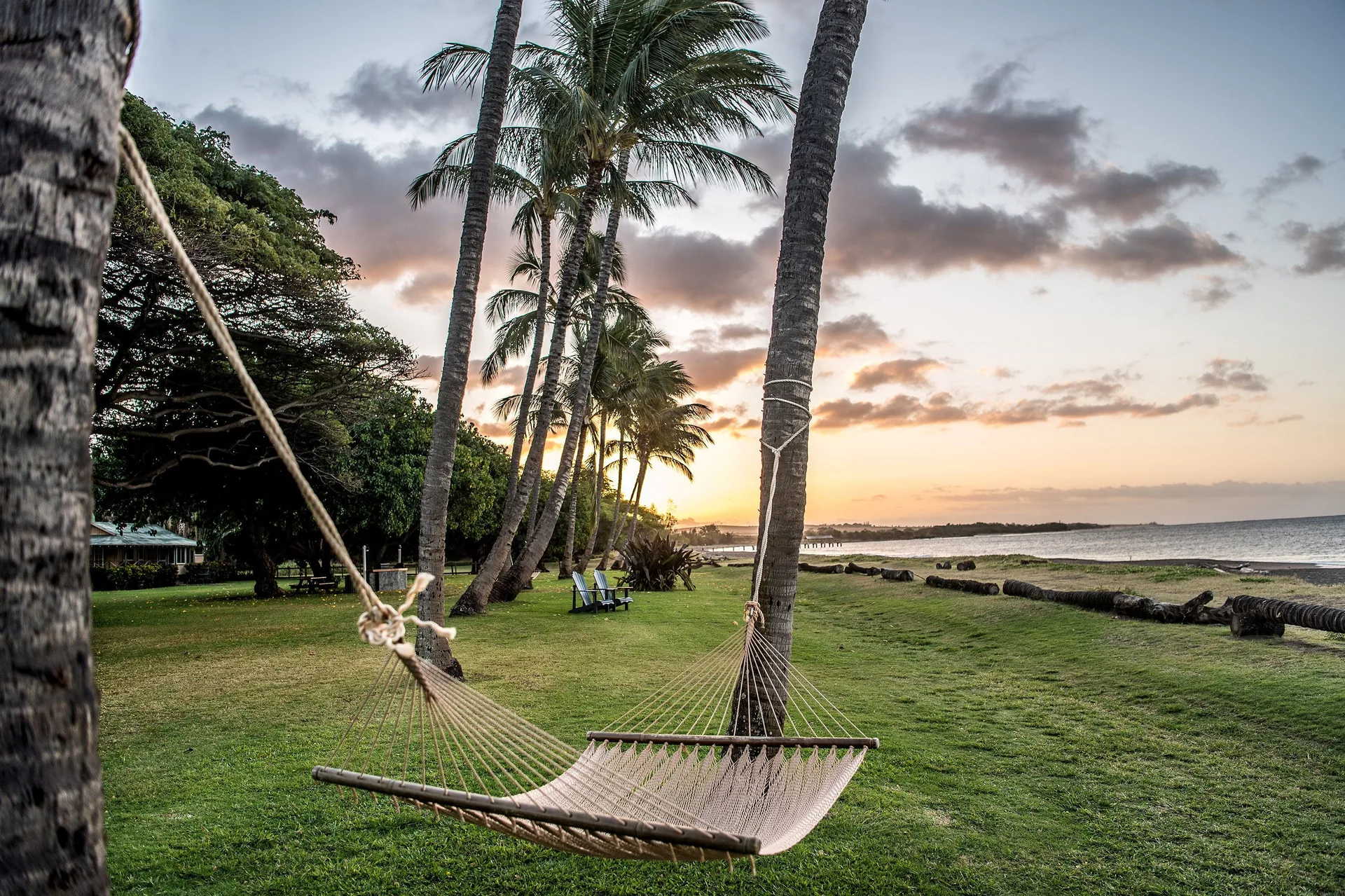 Hammock between palms by the shoreline at Waimea Plantation Cottages.