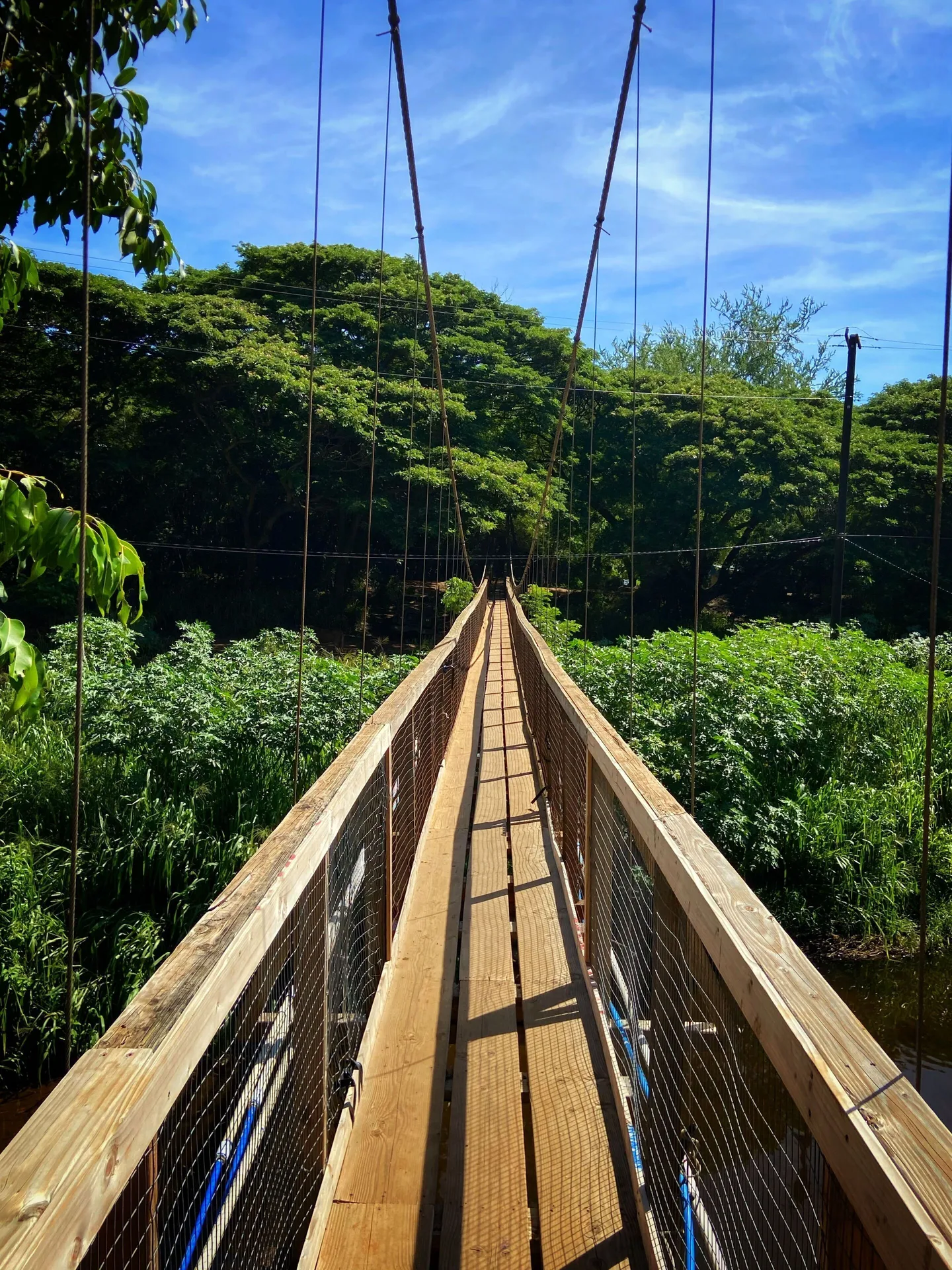Wooden suspension bridge over lush greenery near Waimea Plantation Cottages.