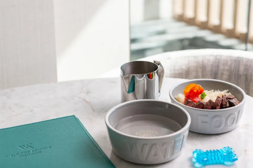 Pet dining bowls with food and a toy on a marble table at Waldorf Astoria Riviera Maya.