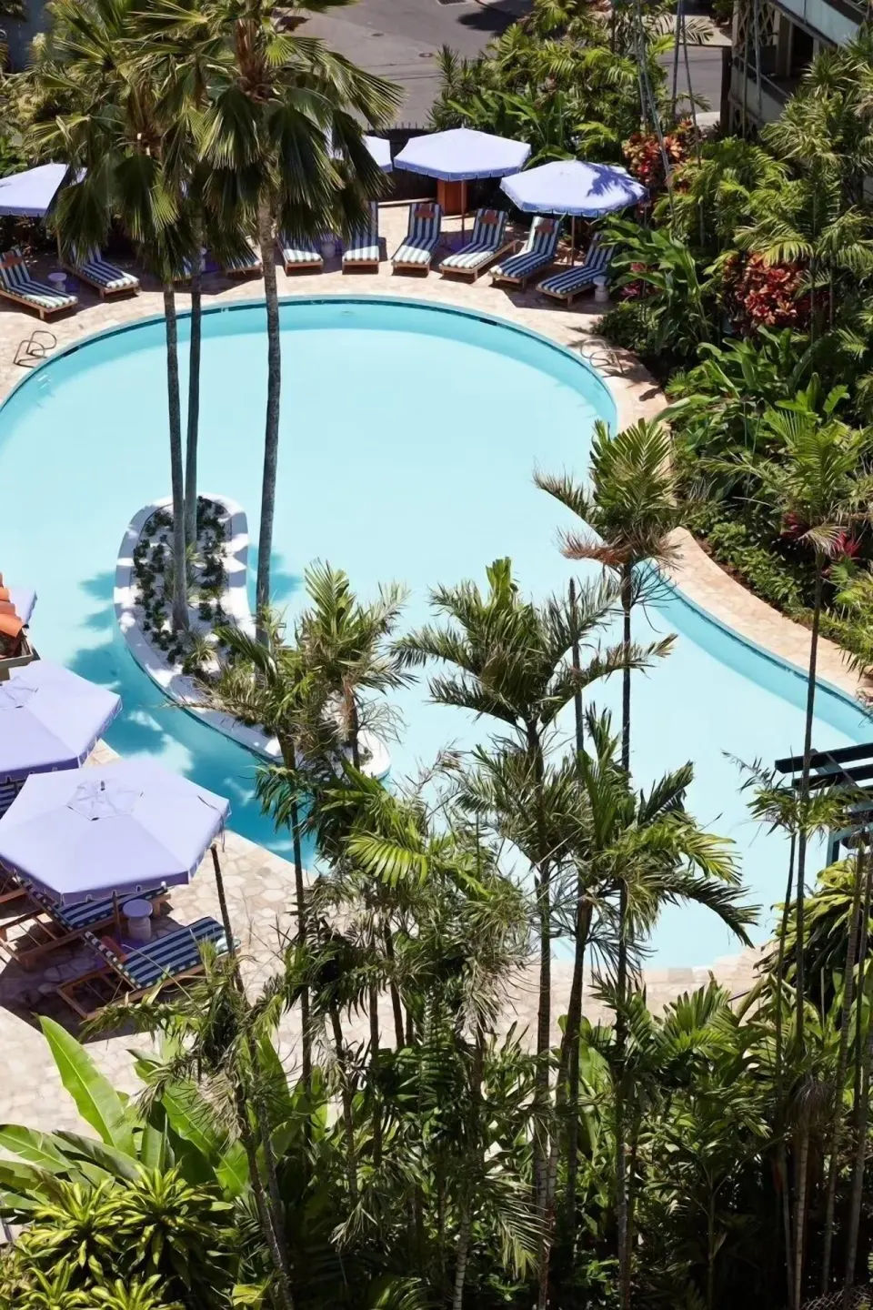 Curved outdoor pool with palms, lounge chairs, and umbrellas at Wayfinder Waikiki.