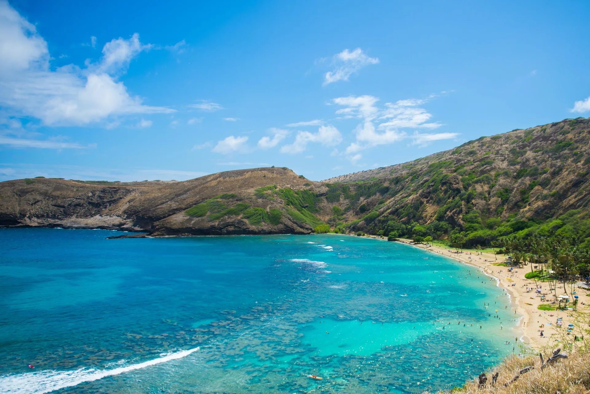 Turquoise bay and sandy beach shown as a Waikiki-area outing from Wayfinder Waikiki.