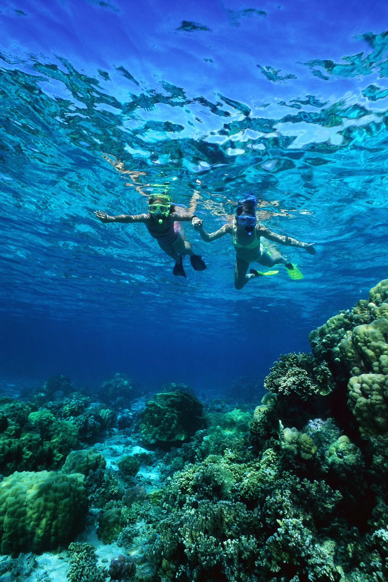 Two snorkelers swim above a coral reef near Windsong on the Reef.
