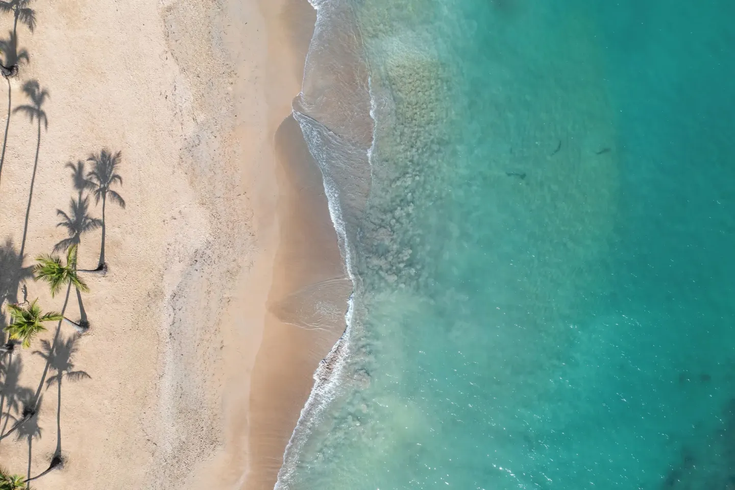 Aerial view of sandy beach and turquoise water at Wyndham Alltra Punta Cana.