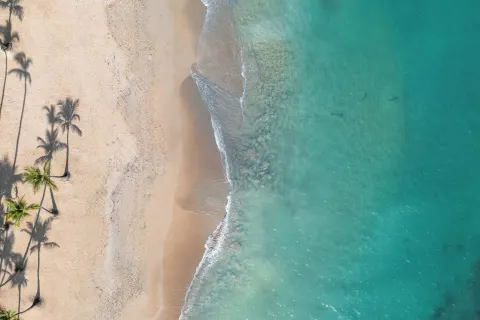 Aerial view of sandy beach and turquoise water at Wyndham Alltra Punta Cana.