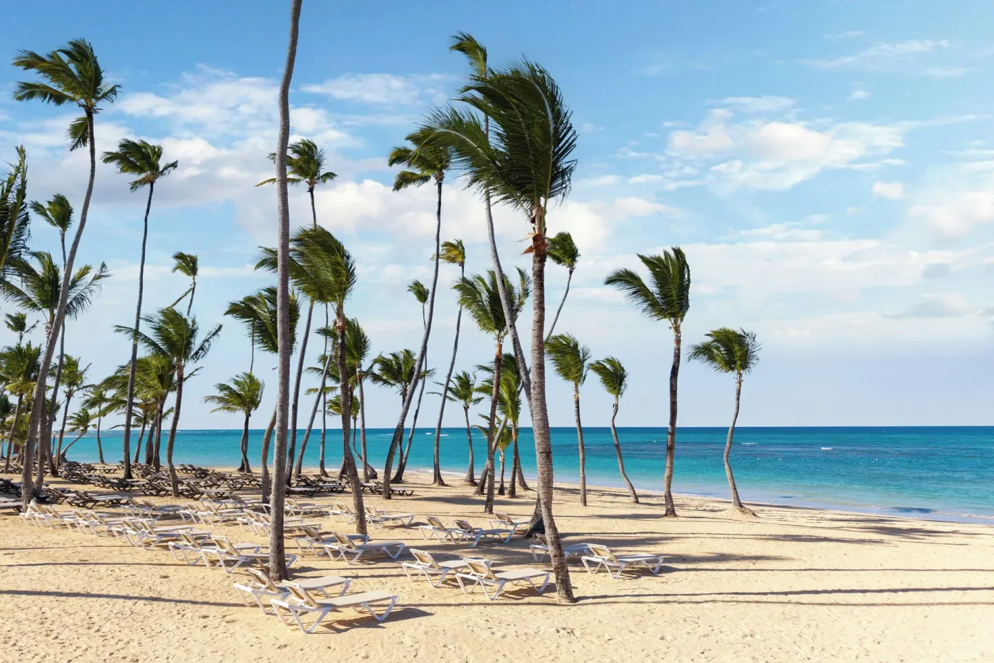 Beach loungers under tall palm trees at Wyndham Alltra Punta Cana.