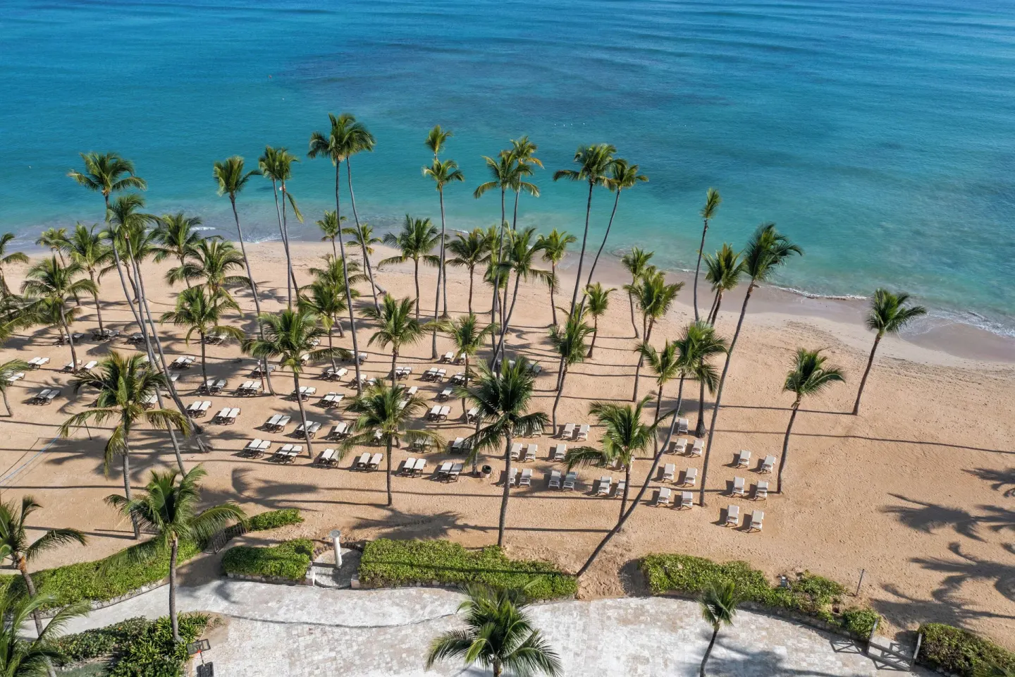 Palm-lined beach with lounge chairs and blue ocean at Wyndham Alltra Punta Cana.