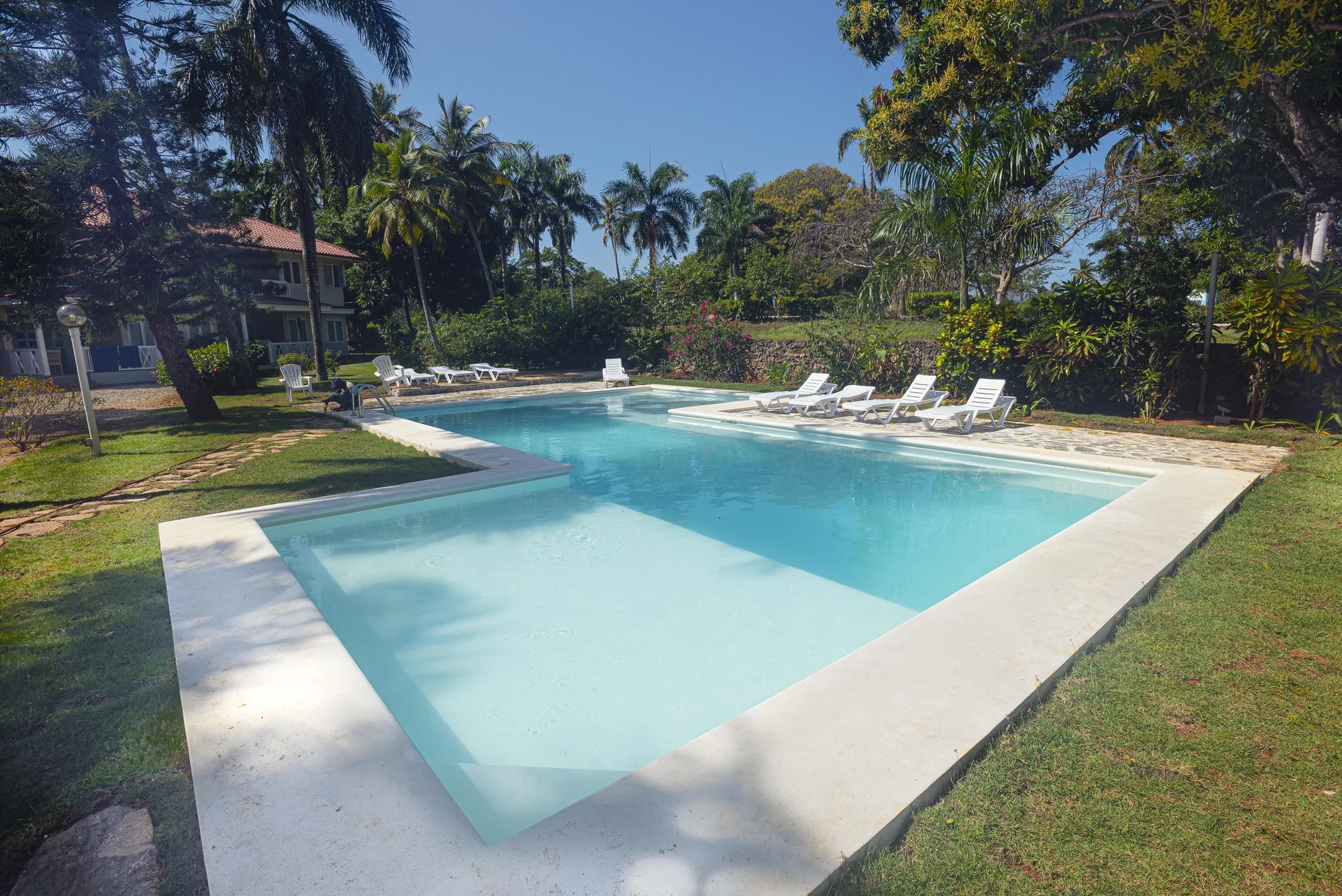 El Pelicano Apart-Hotel casual apartment-style hotel in Las Galeras near beaches