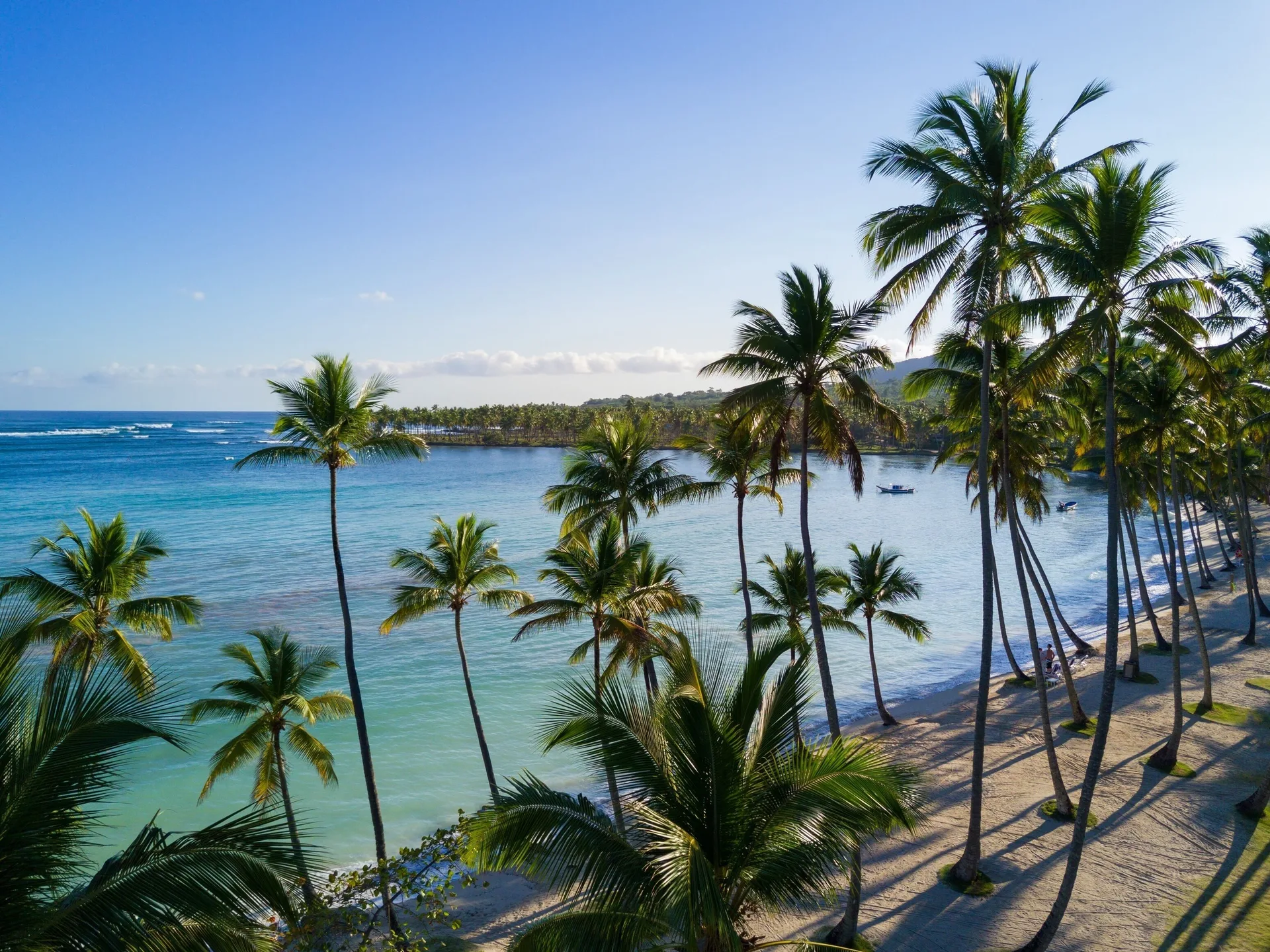 Palm-lined beach and calm blue bay at Wyndham Alltra Samana Resort.