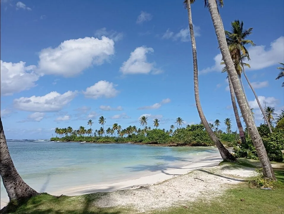 Aserradero Beach 15 Min Walk