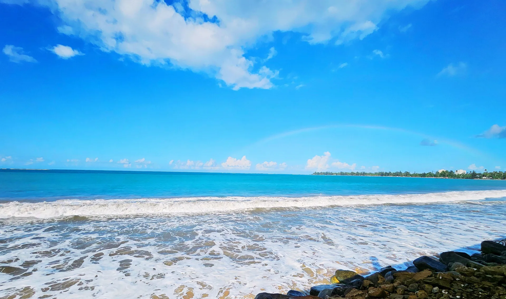 Selva Boutique Hotel Luquillo Oceanfront Retreat boutique beach hotel with ocean views modern rooms and quiet style