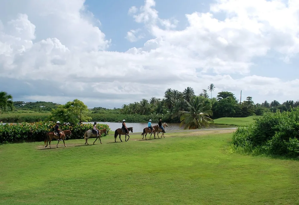 Riders on horseback crossing green resort grounds at Wyndham Palmas Beach and Golf Boutique Resort.