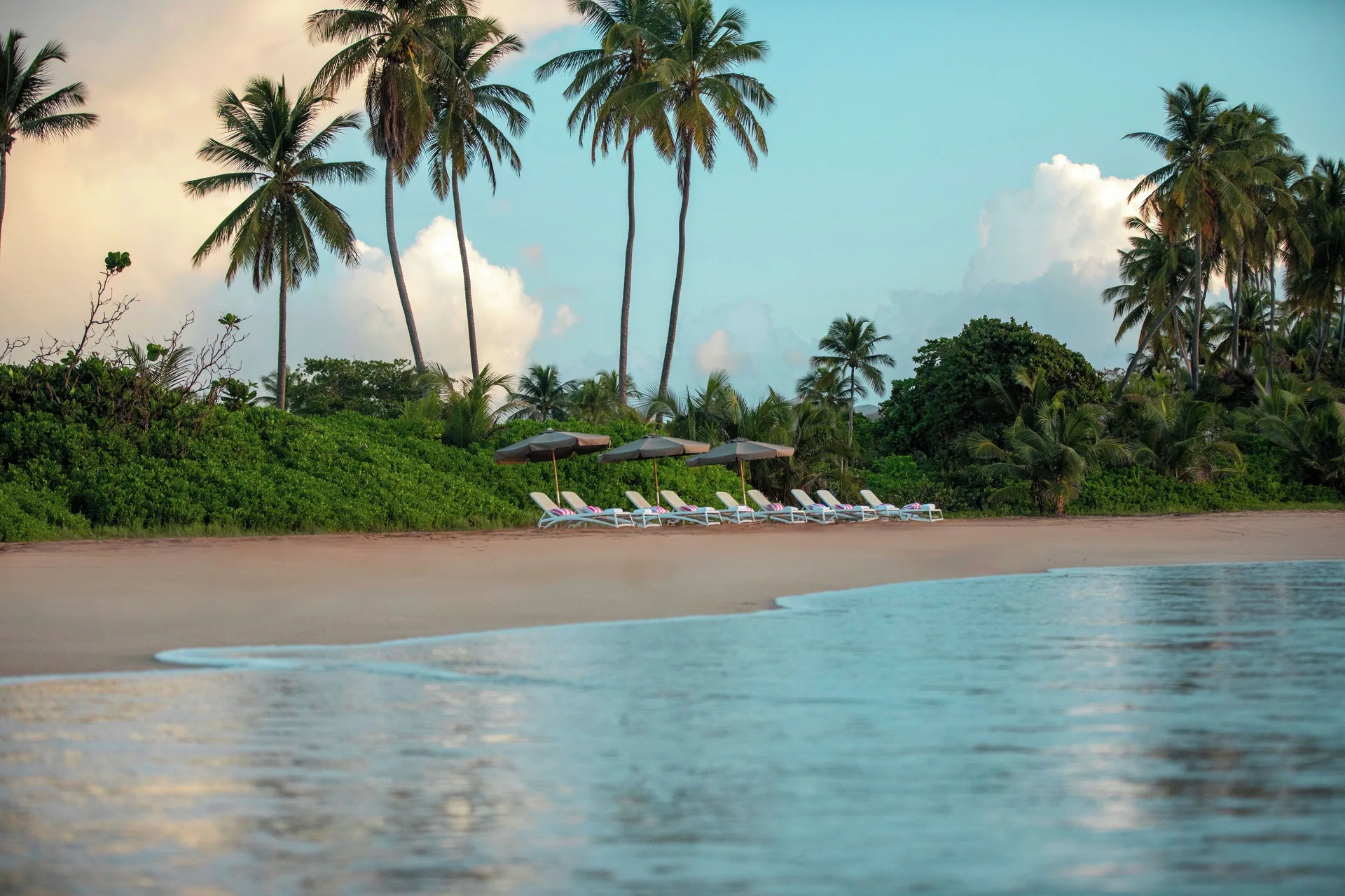 Palm-lined beach with loungers by the water at Wyndham Palmas Beach and Golf Boutique Resort.