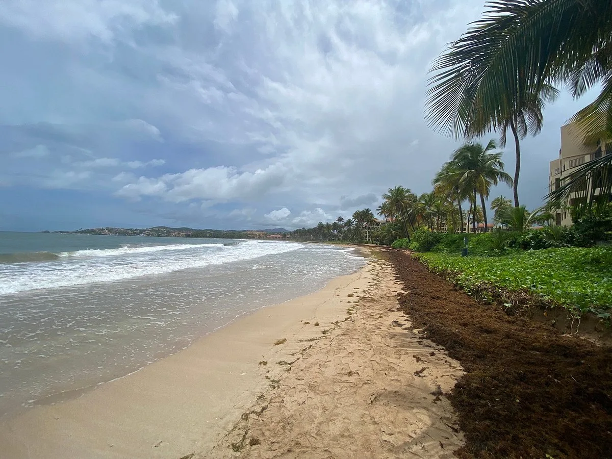 Palmas Del Mar Beach 5 Min Walk