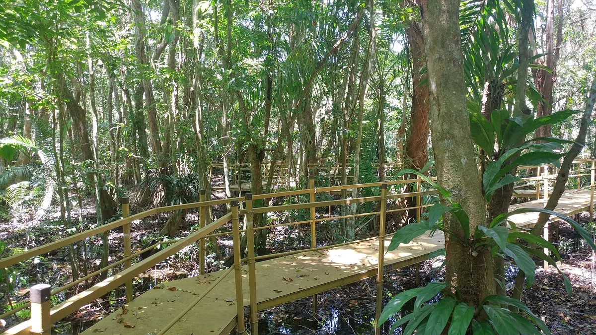 Pterocarpus Forest 15 Min Walk