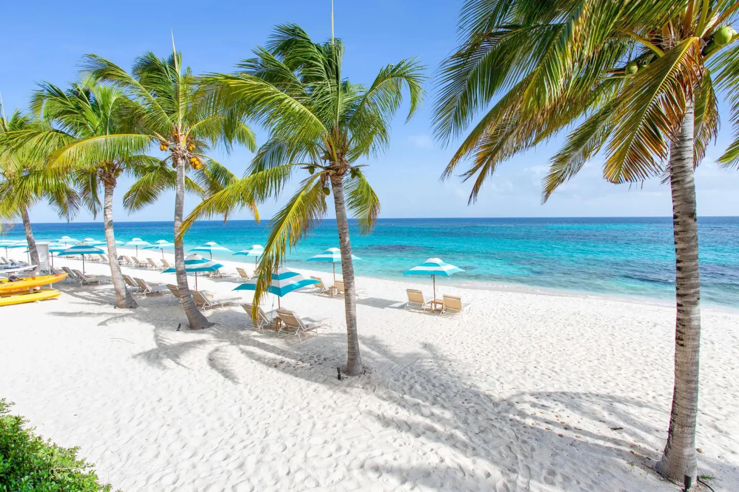 White-sand beach with palm trees and turquoise umbrellas at Zemi Beach House.
