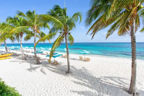 White-sand beach with palm trees and turquoise umbrellas at Zemi Beach House.