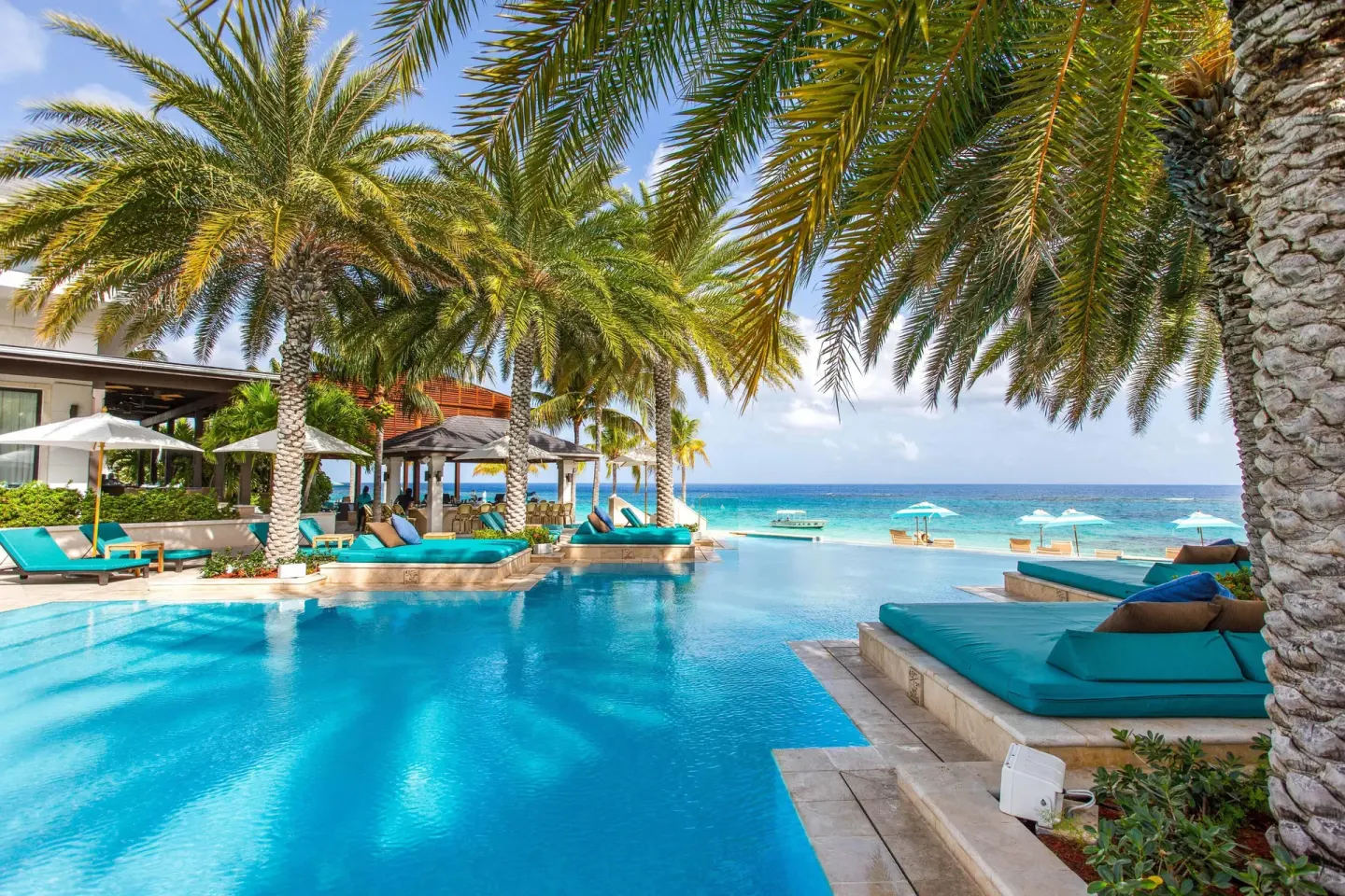 Infinity-style pool with palm trees and beach views at Zemi Beach House.