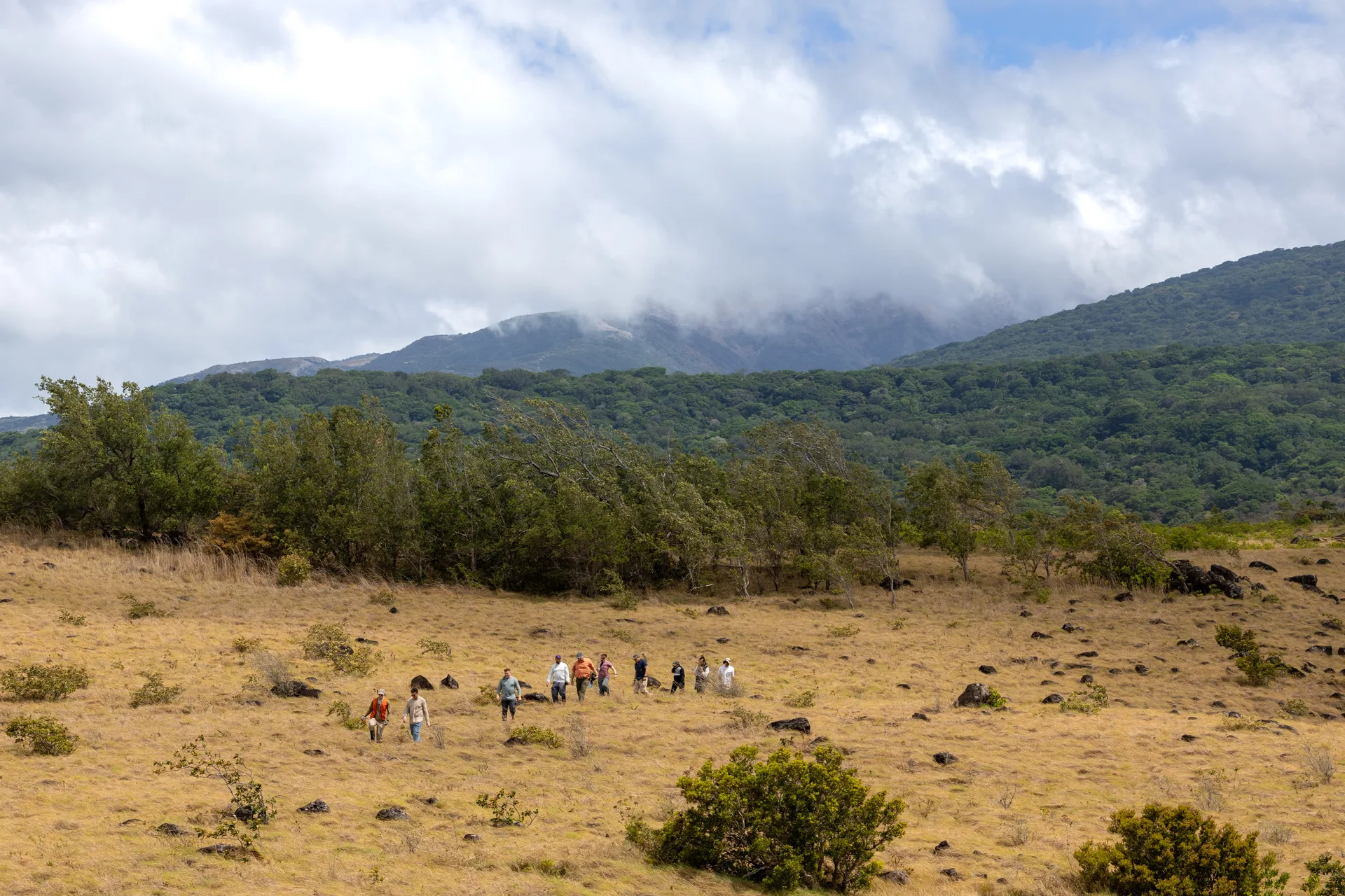 Volcano Trail Hiking — El Mangroove Papagayo